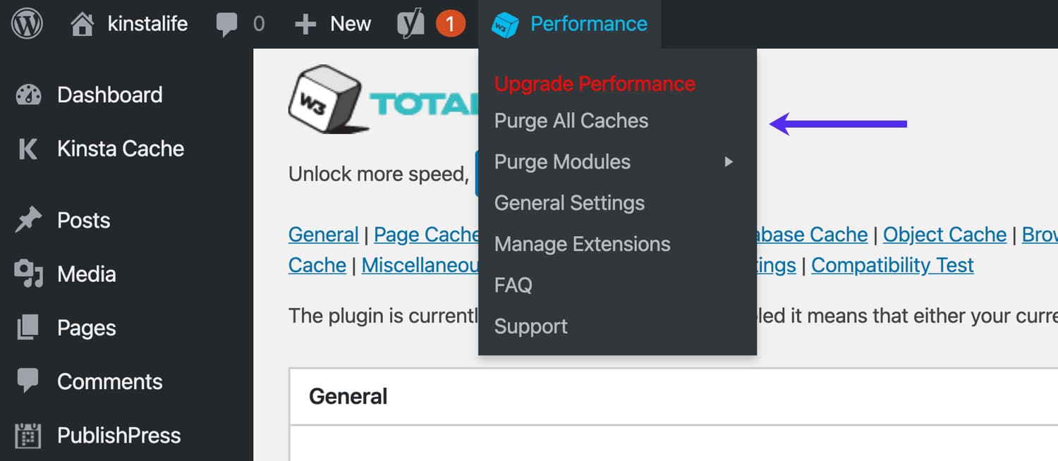 Purga W3 Total Cache.