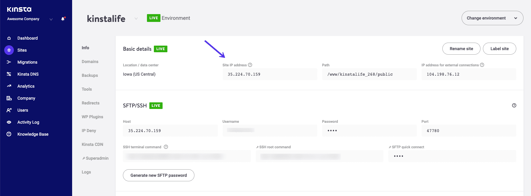 La dirección IP del sitio de WordPress en MyKinsta