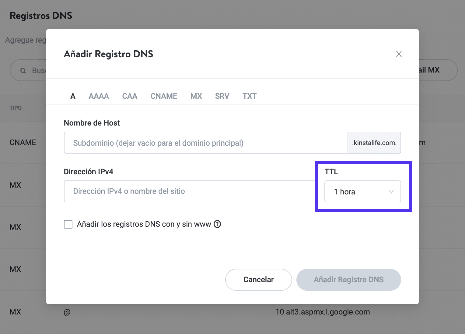 Añadir un registro DNS > TTL en MyKinsta