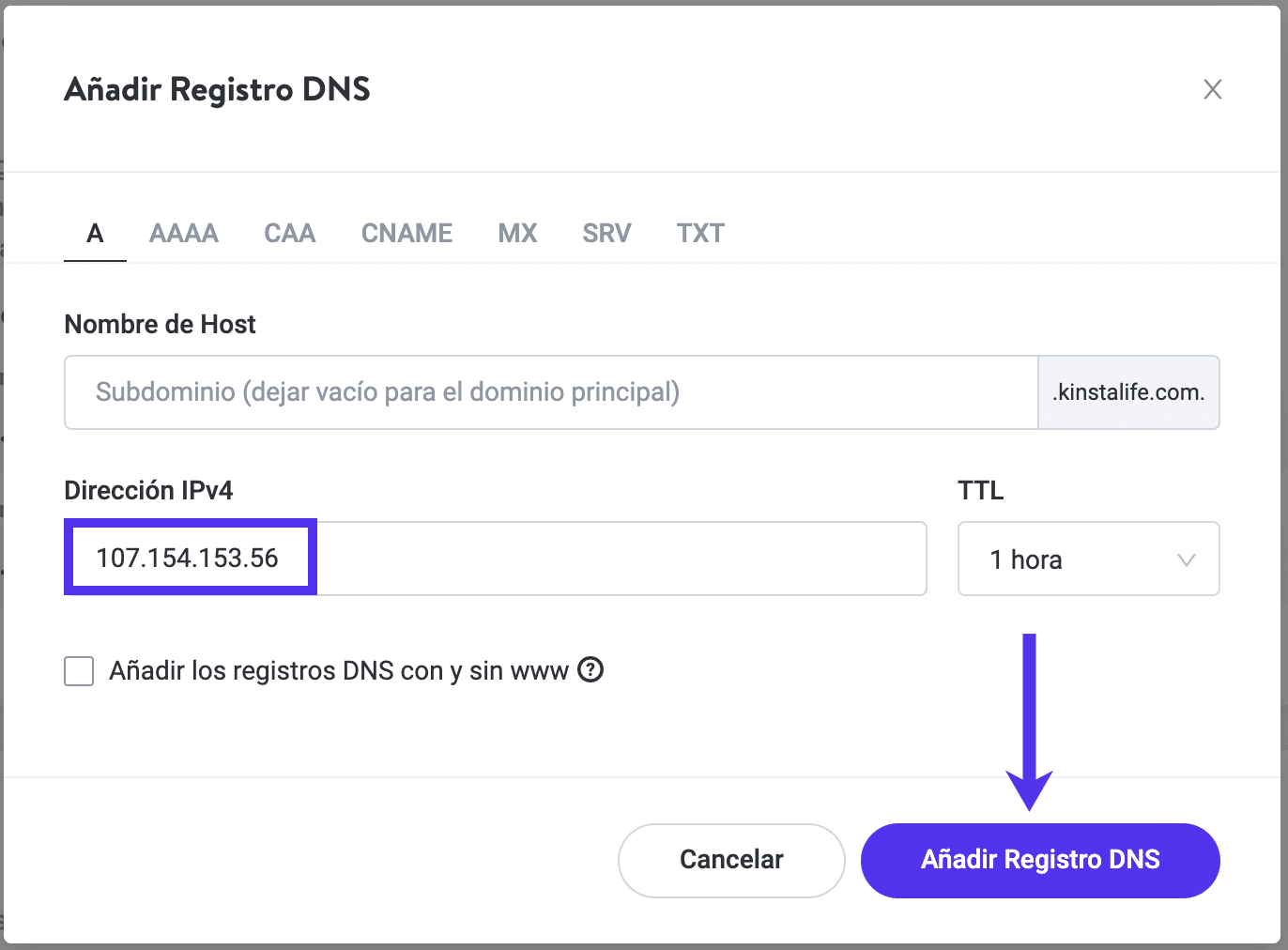 Añadir un registro A a tu dominio en Kinsta DNS