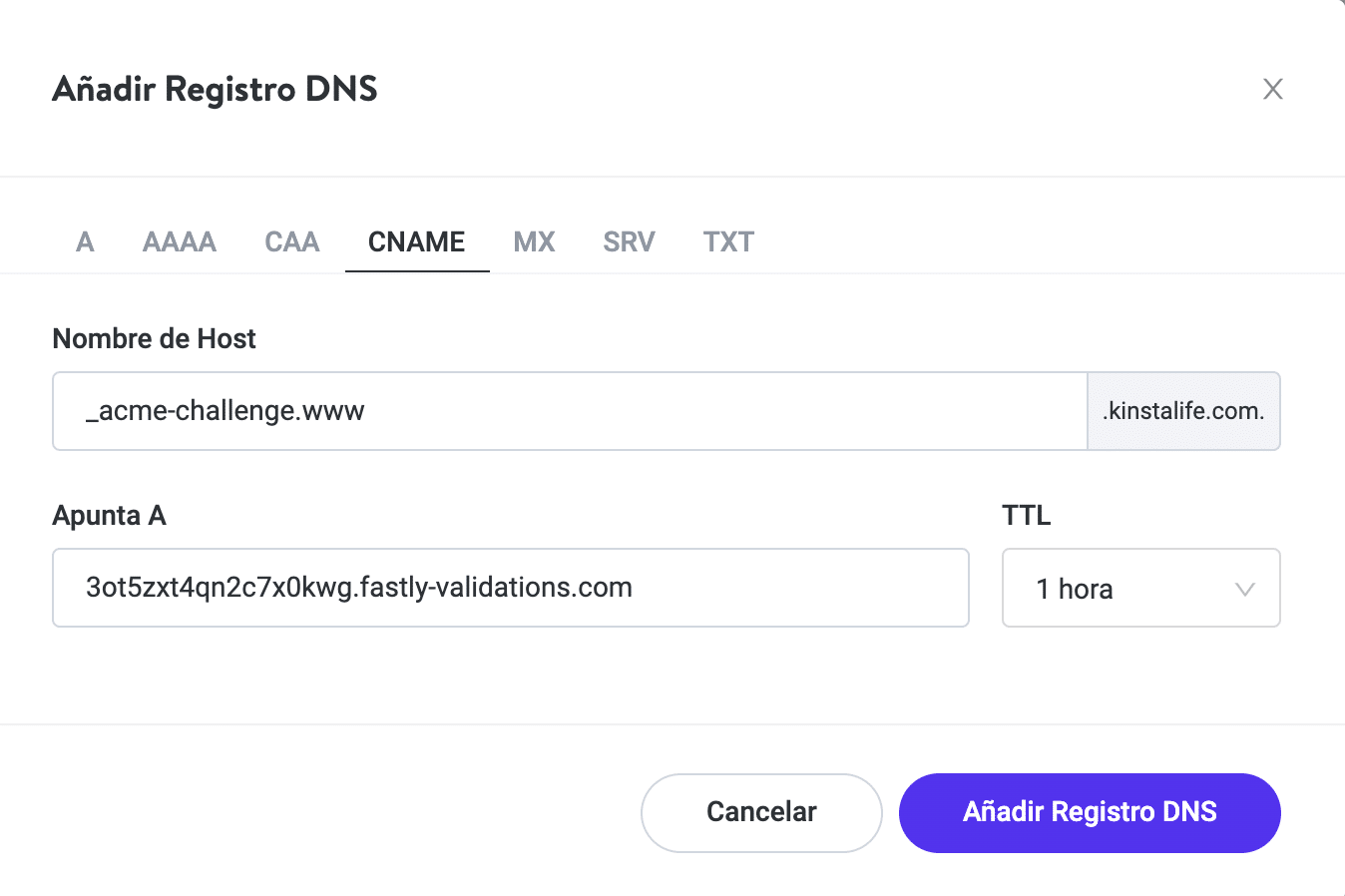 Añadir su CNAME de verificación de dominio en Kinsta DNS.