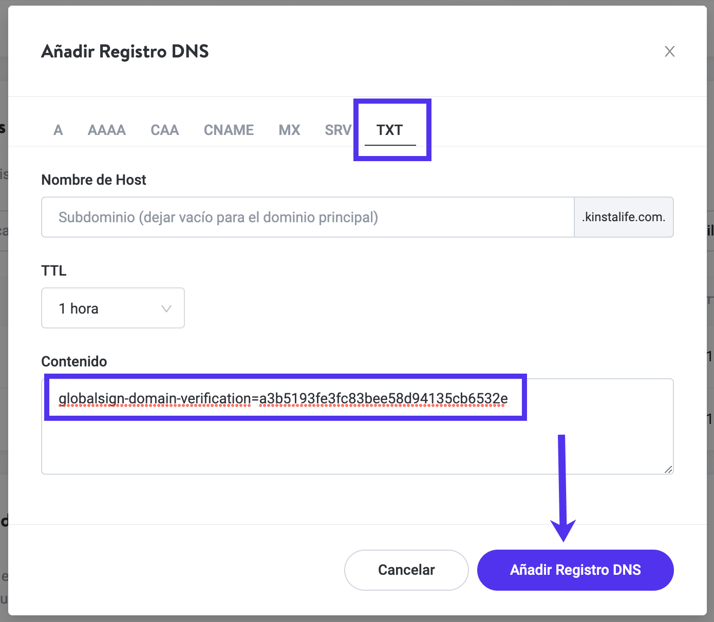 Añade el registro DNS TXT para verificar tu dominio para tu SSL.
