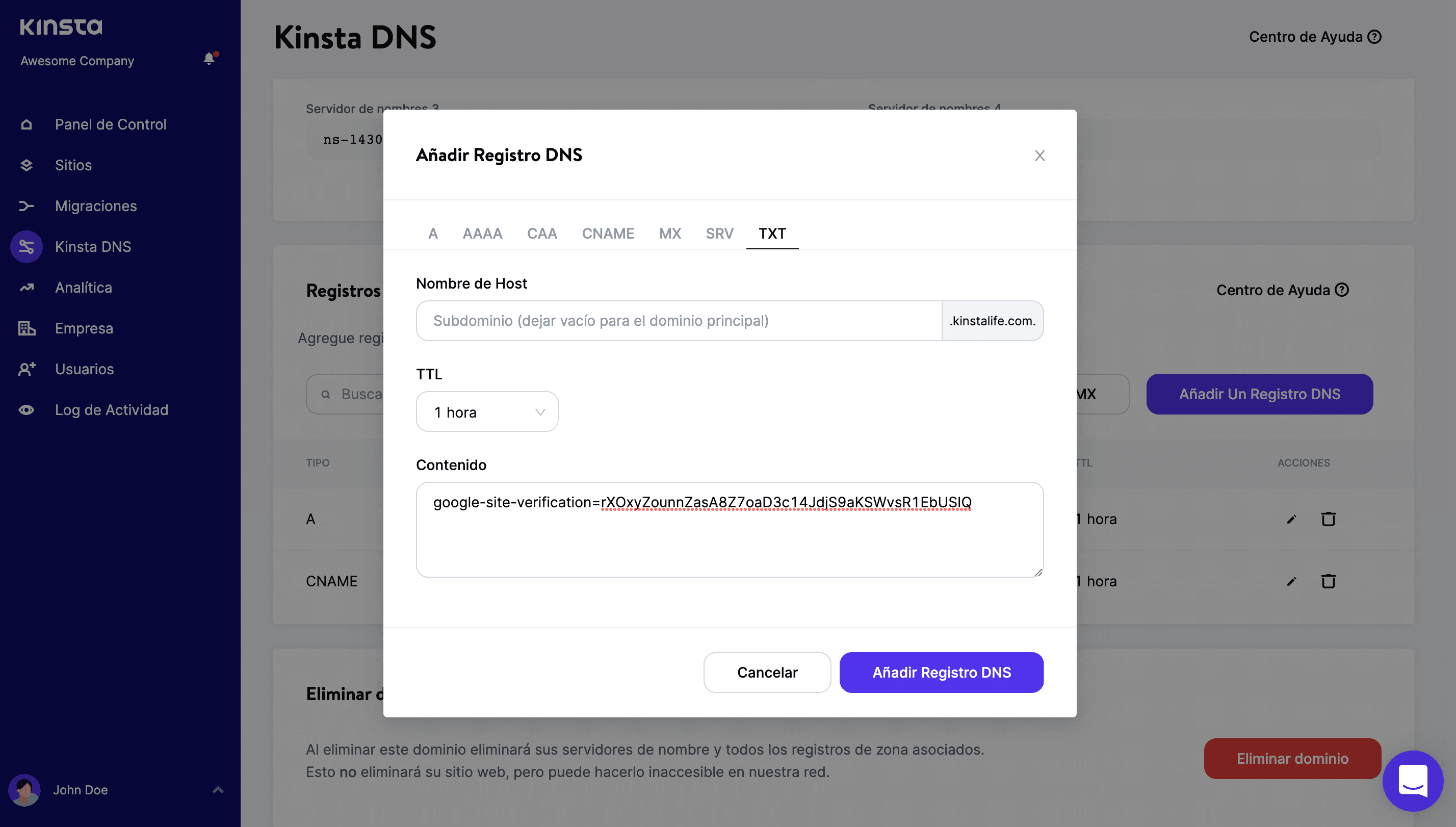 Añadir un registro TXT en Kinsta DNS.