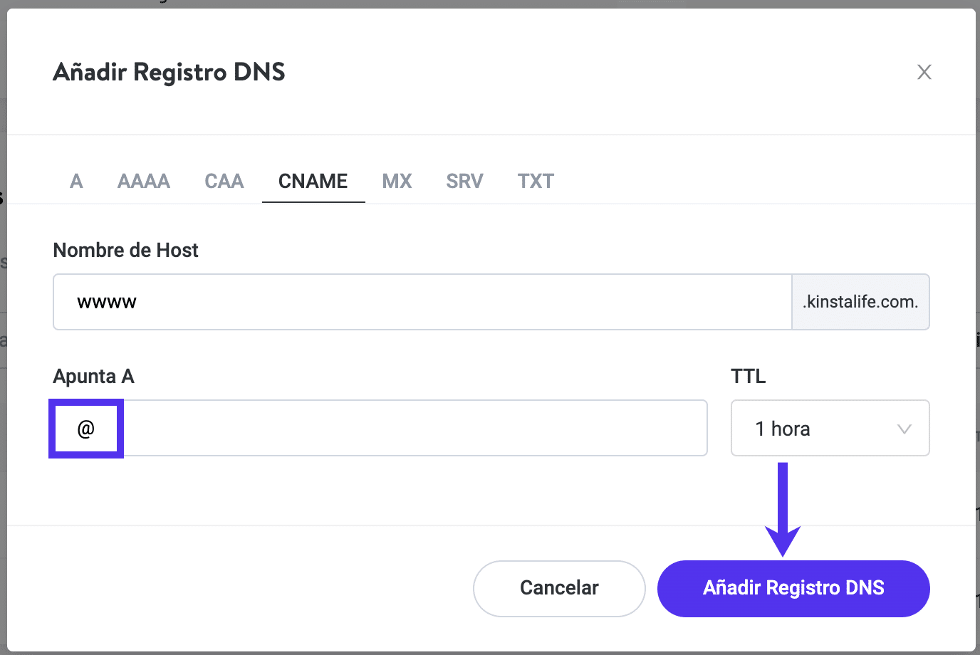 Añadiendo un www CNAME a tu dominio en Kinsta DNS