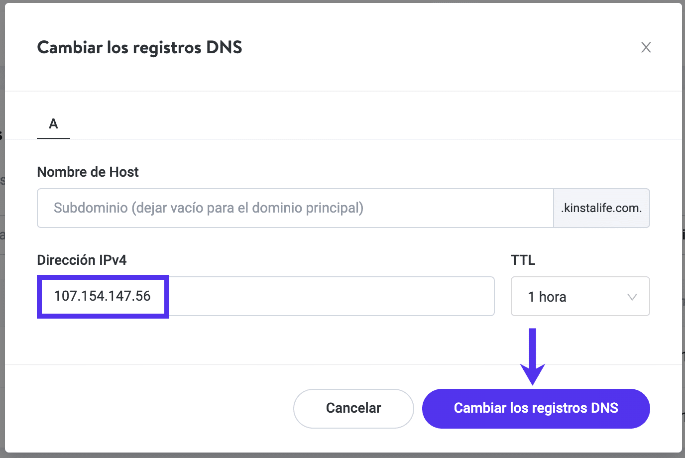 Actualizar el registro A de tu dominio en Kinsta DNS