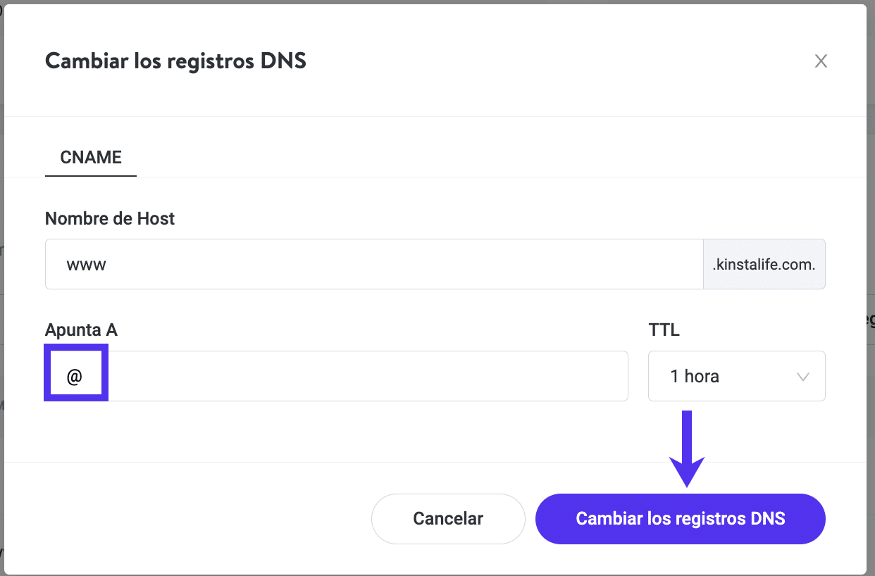 Cambiando el www CNAME de tu dominio en Kinsta DNS