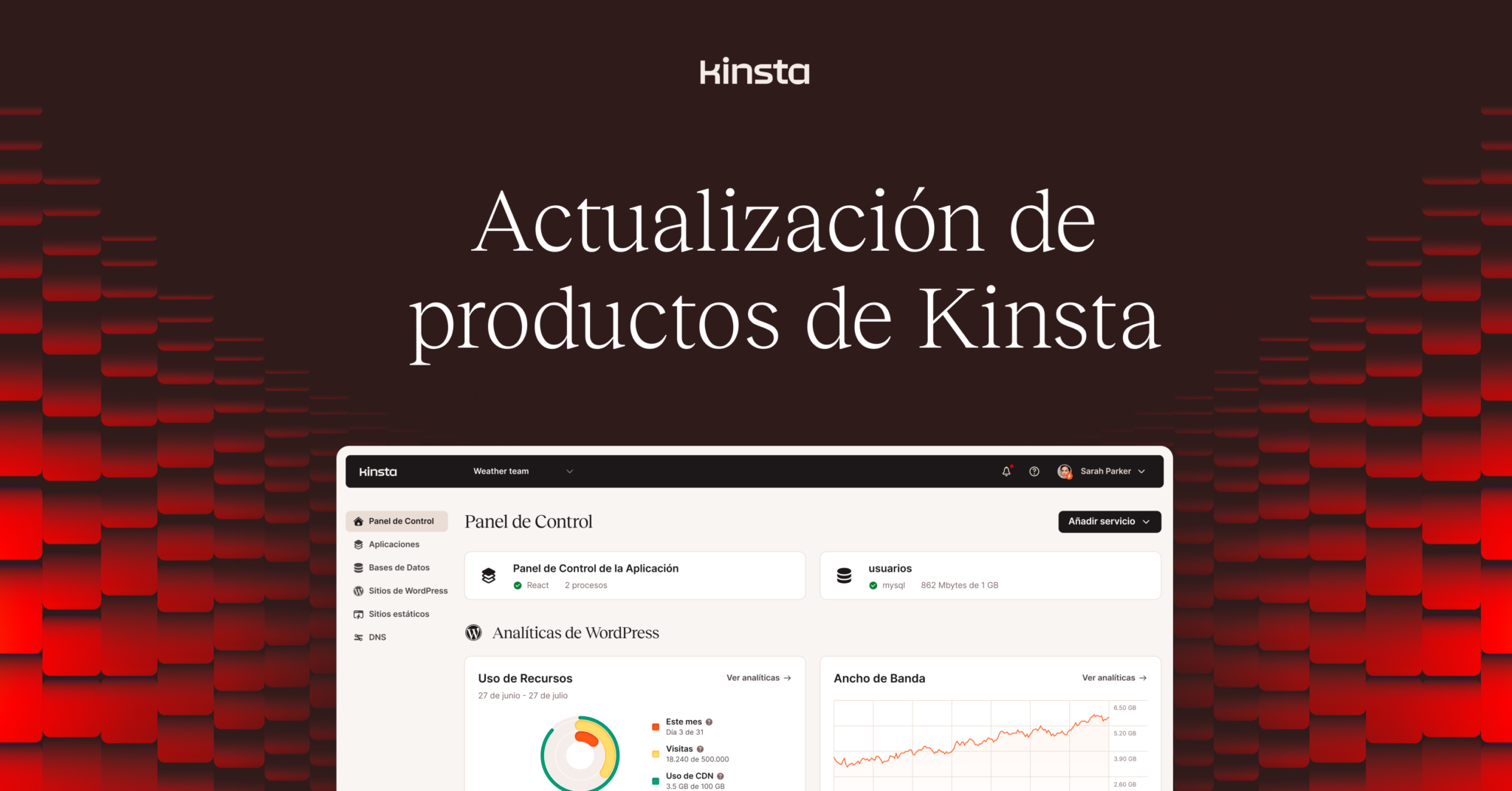 Enlace de phpMyAdmin y Actividad de la API con API de Kinsta