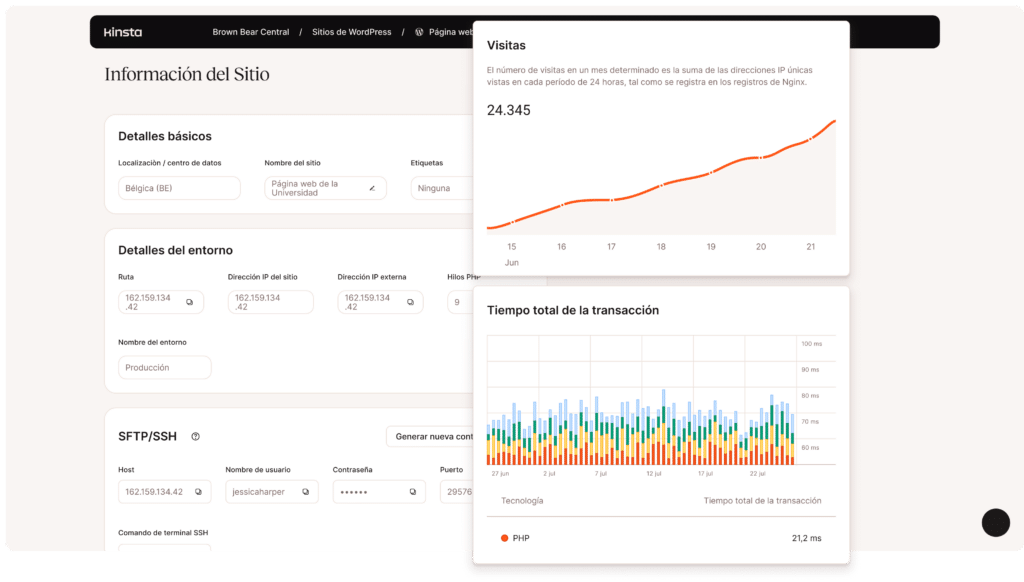 Panel de MyKinsta