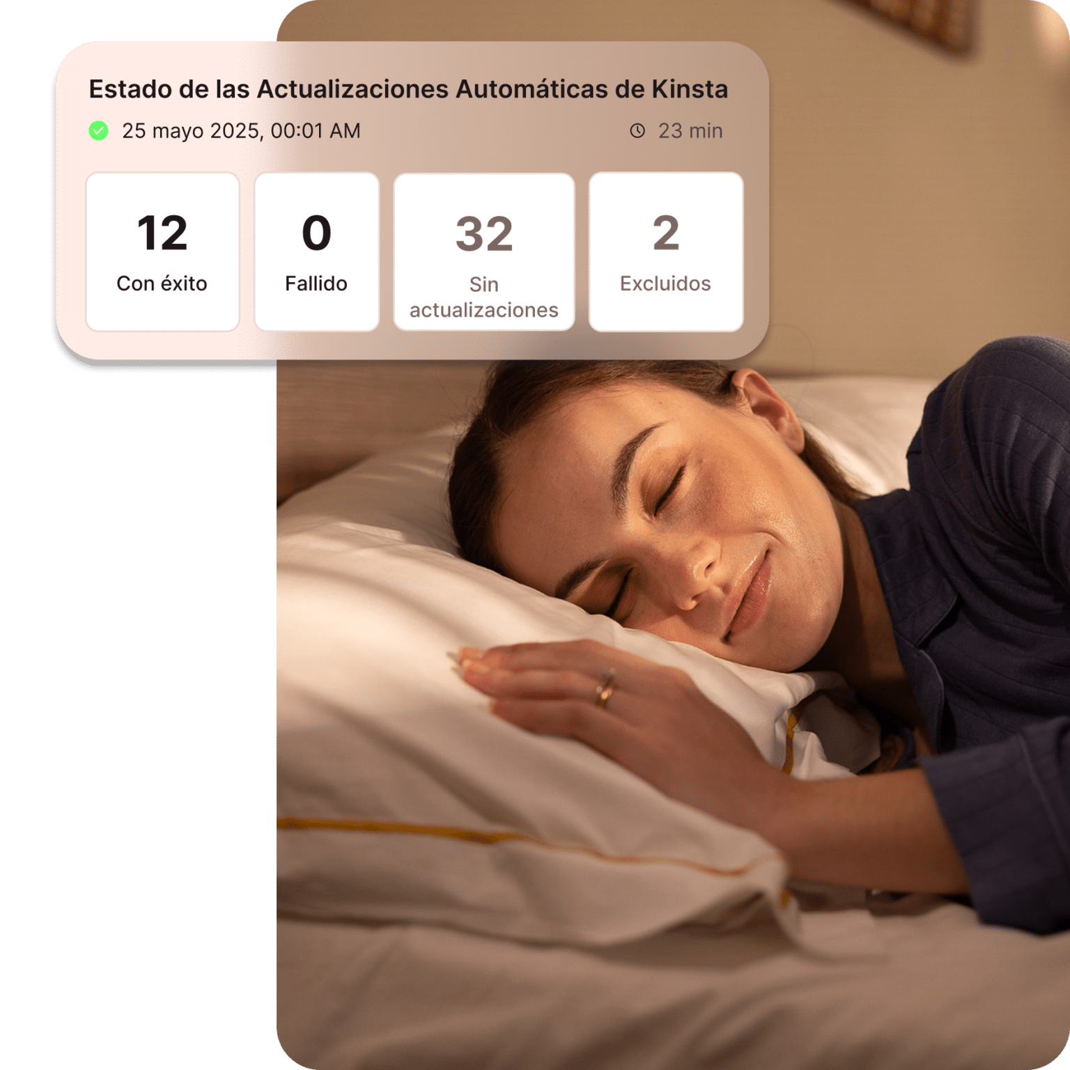 Automatiza actualizaciones de plugins y temas de WordPress