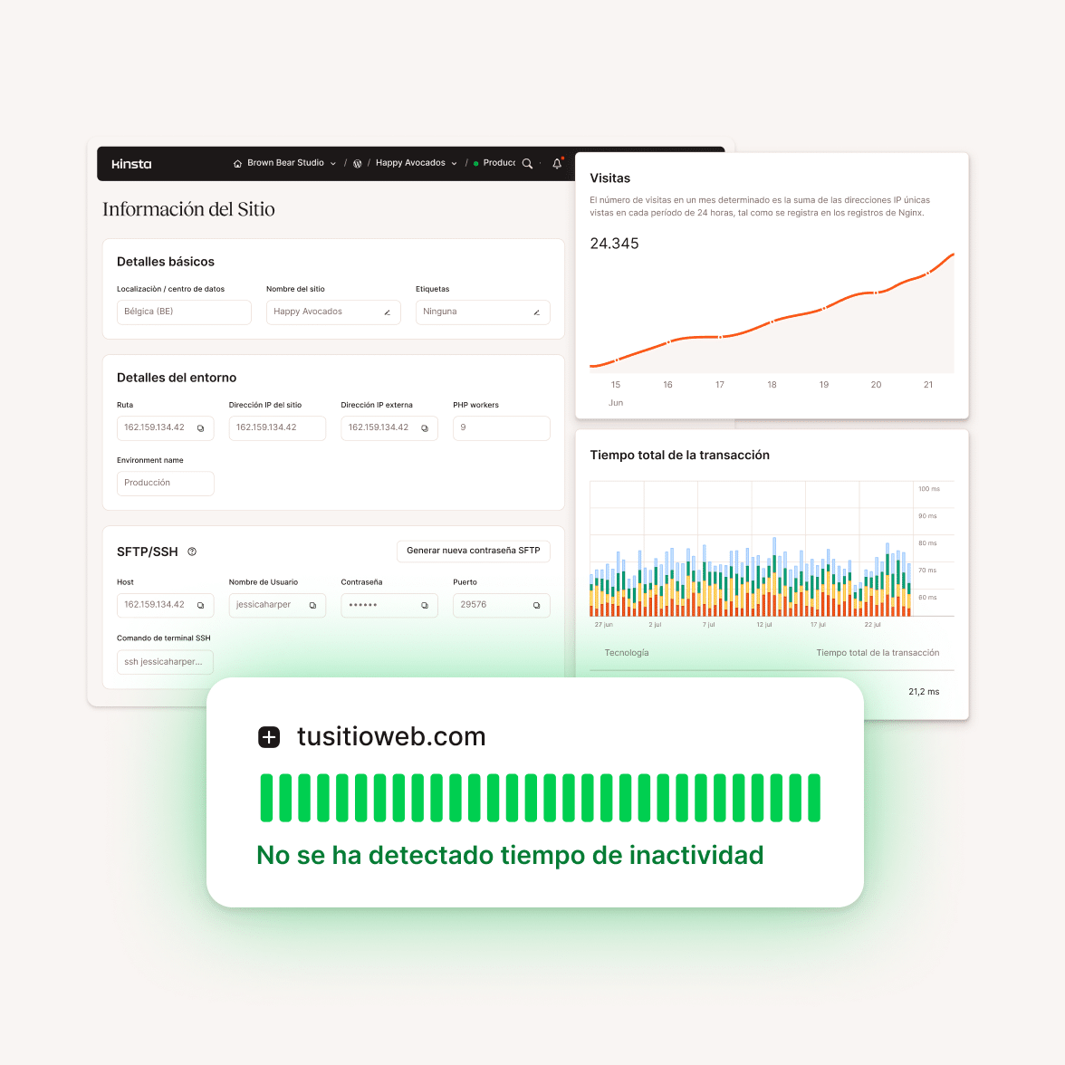 Plataforma de alojamiento Kinsta