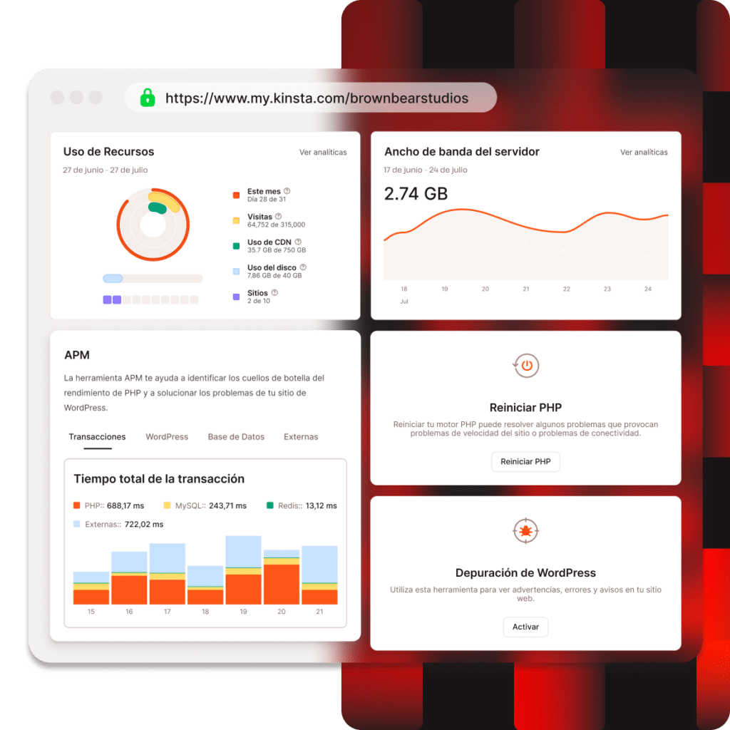 Herramientas de gestión del panel de control de MyKinsta