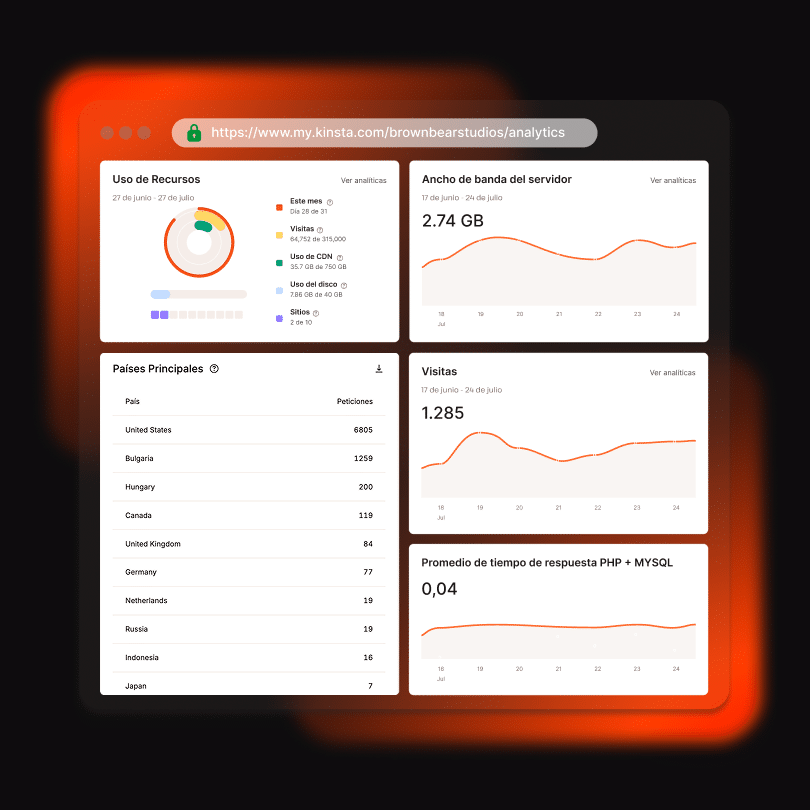 Analíticas y otros recursos en el panel de control de MyKinsta
