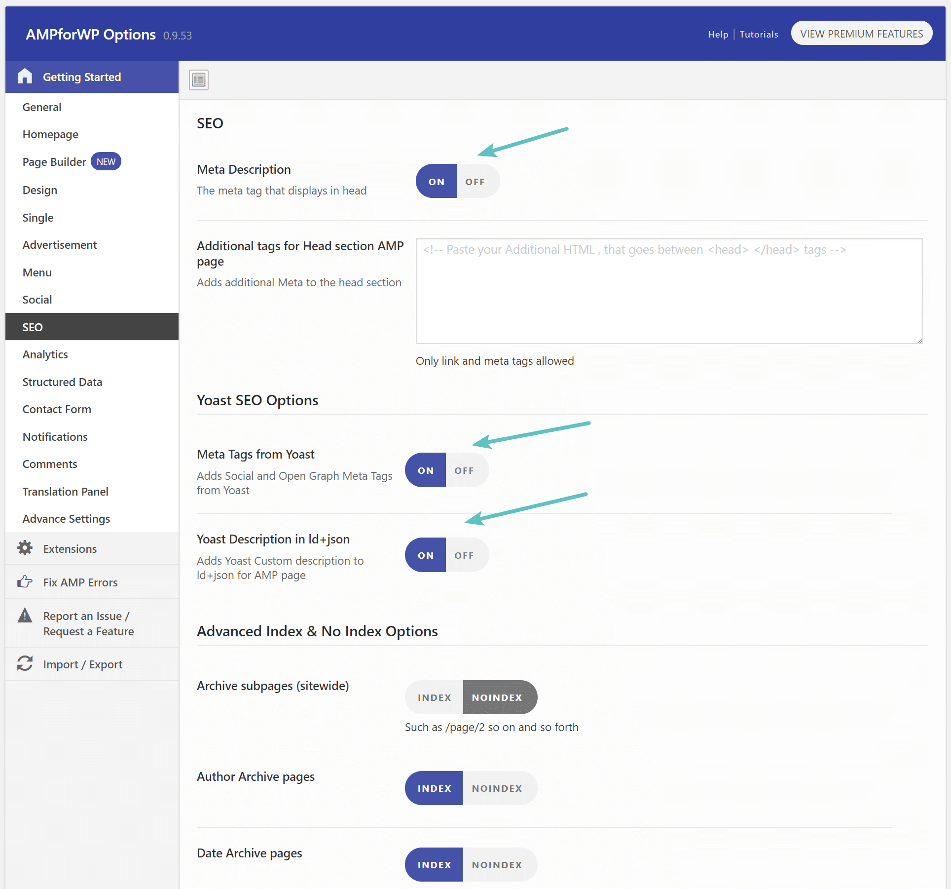 Options AMP SEO