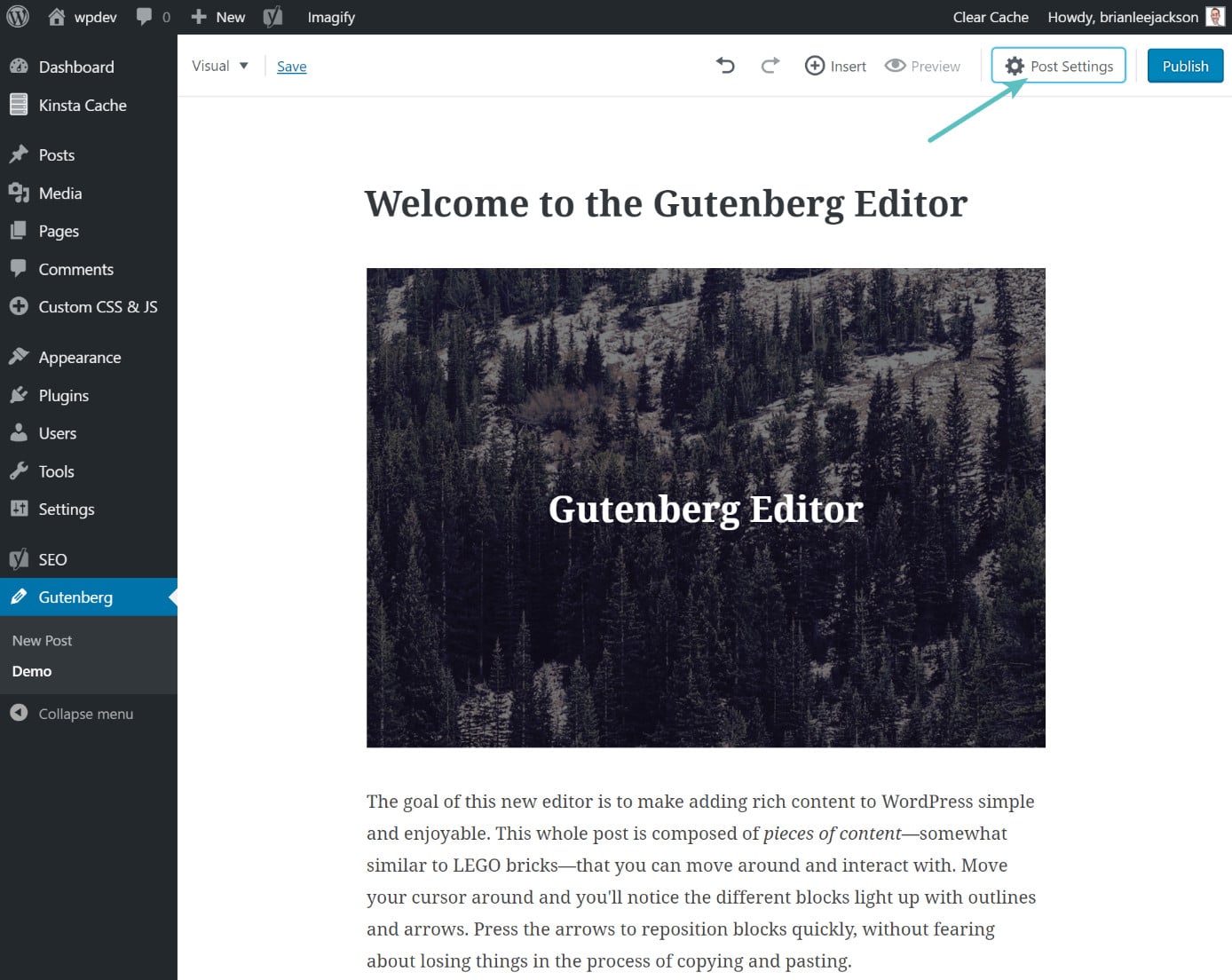 Cacher les paramètres d'article dans Gutenberg