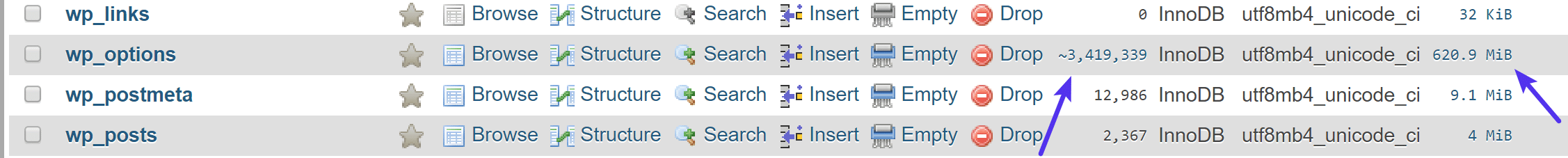 Table wp_options avec des millions de lignes