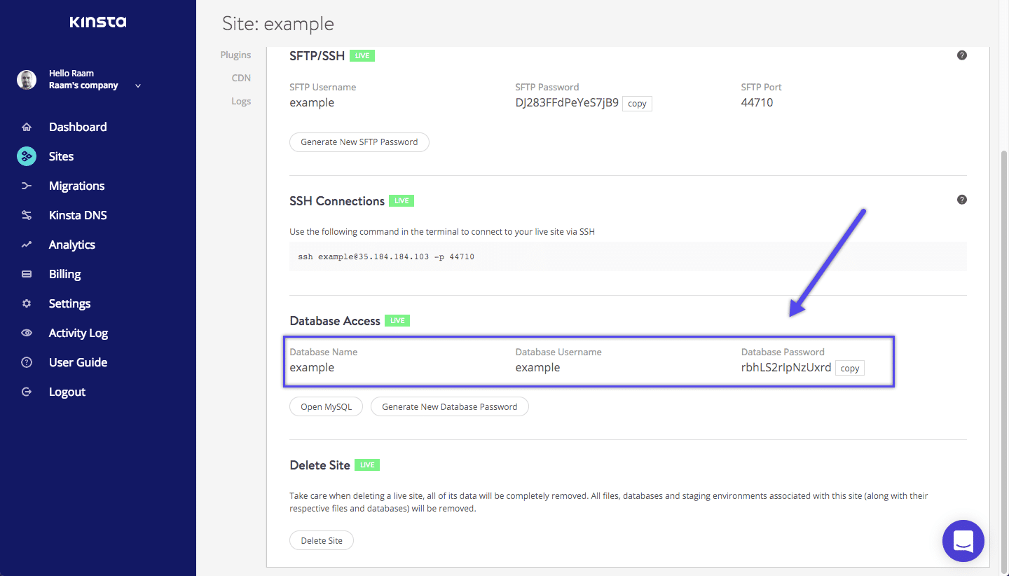 Détails d'accès à la base de données Kinsta