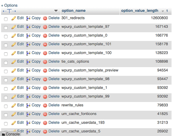 Les plus grandes données chargées automatiquement dans la table wp_options