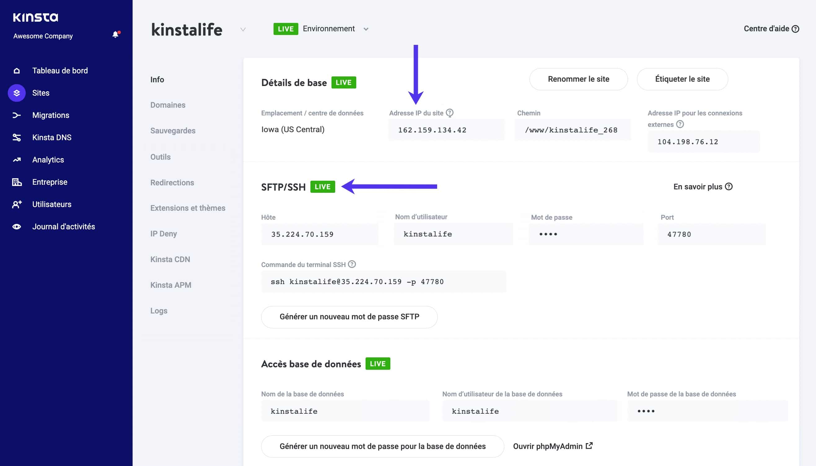 Informations SFTP dans MyKinsta.