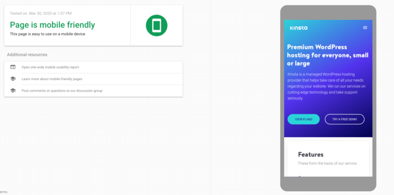 Le site web Kinsta dans le test de Google pour les mobiles