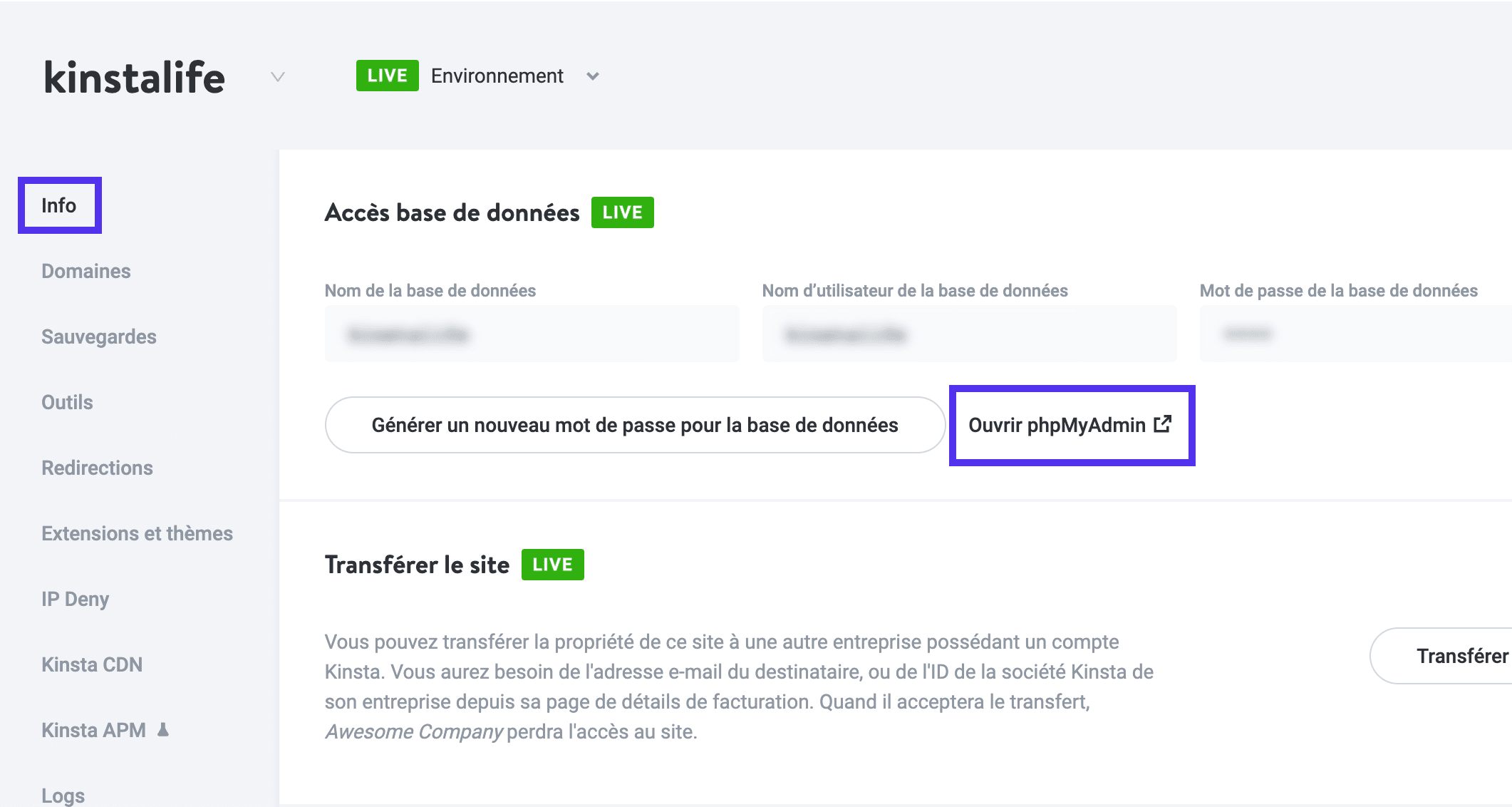 Le lien phpMyAdmin dans le tableau de bord MyKinsta.