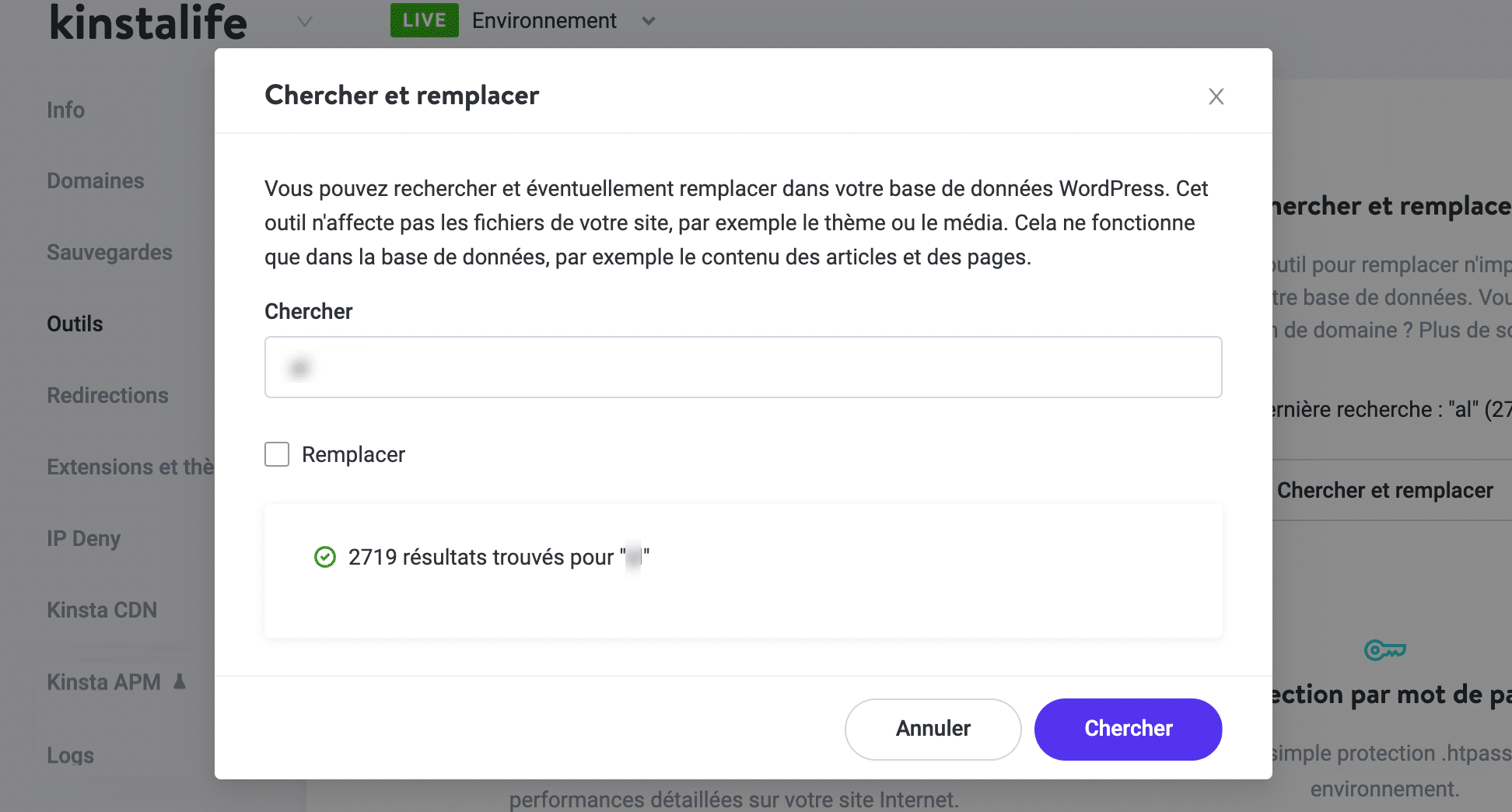 Une recherche à l’aide de l’outil de recherche et de remplacement MyKinsta.