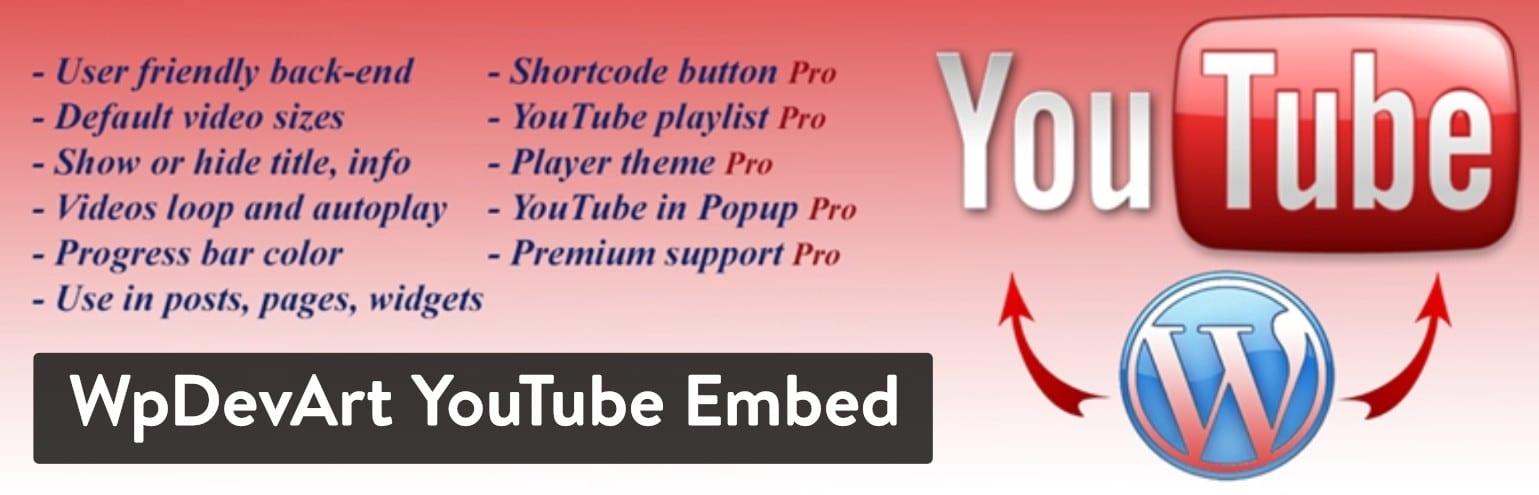 Extension WpDevArt YouTube Embed