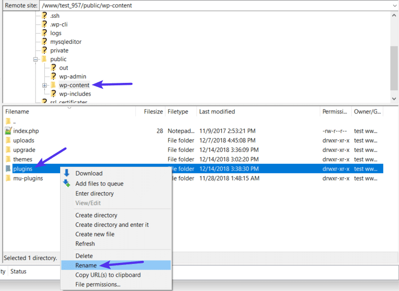 Renommer le dossier plugins