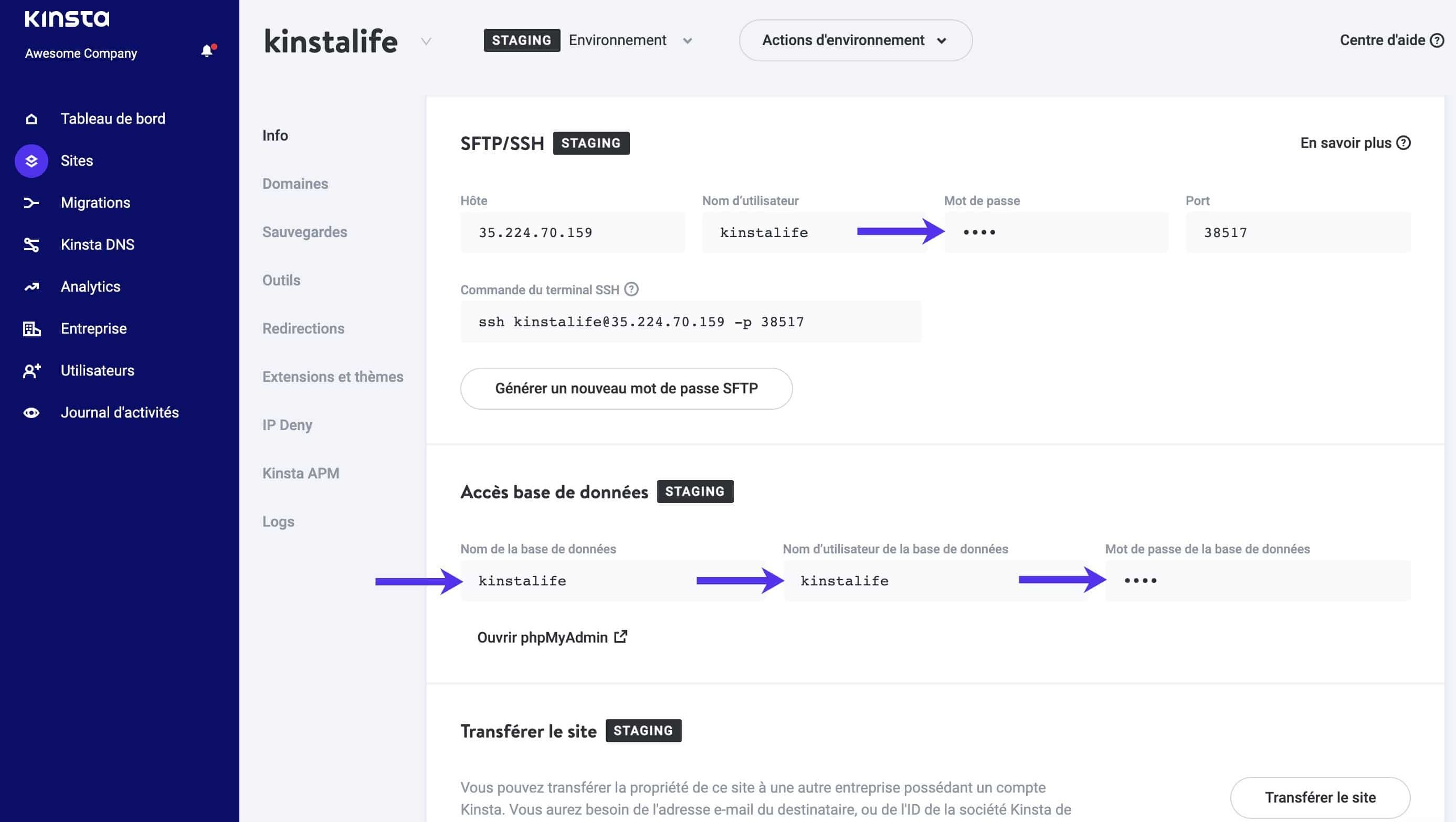 Les identifiants SFTP et de la base de données dans MyKinsta.