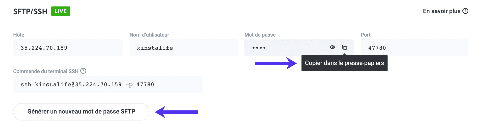 Copiez dans le presse-papiers et générez un nouveau mot de passe SFTP.