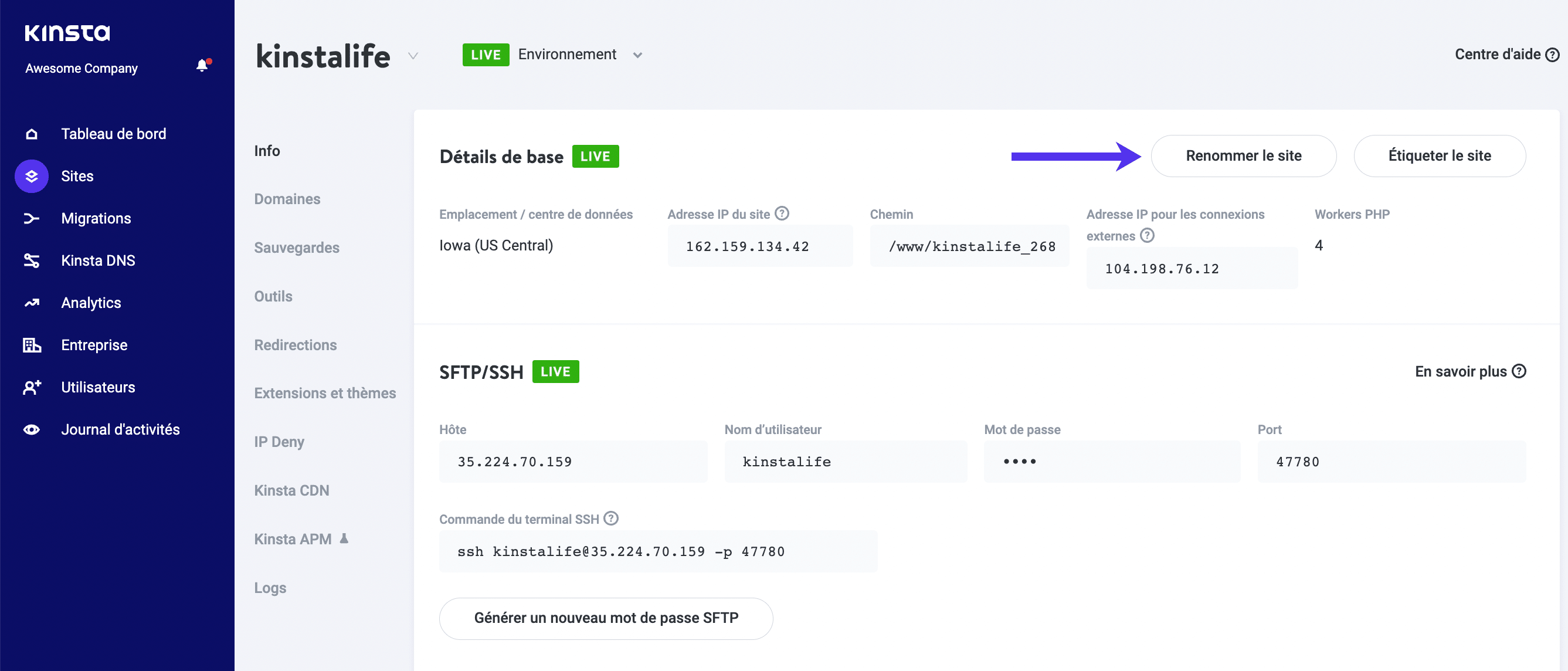 Renommage et étiquetage des sites dans MyKinsta