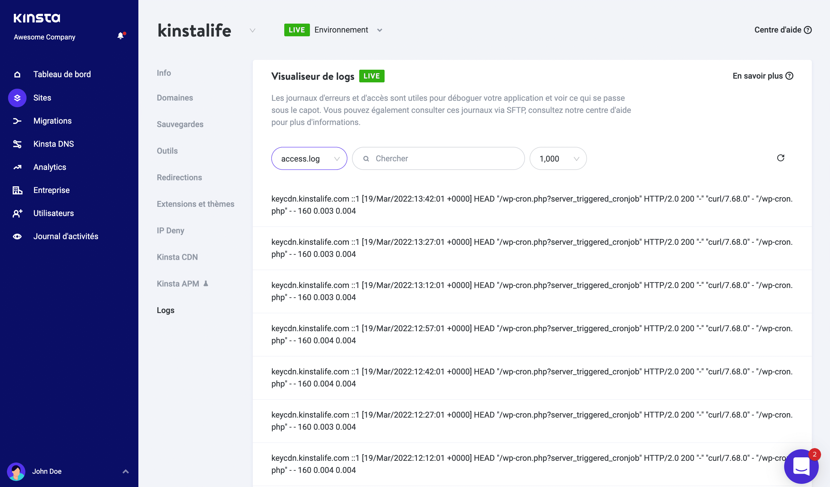 Logs WordPress dans MyKinsta.