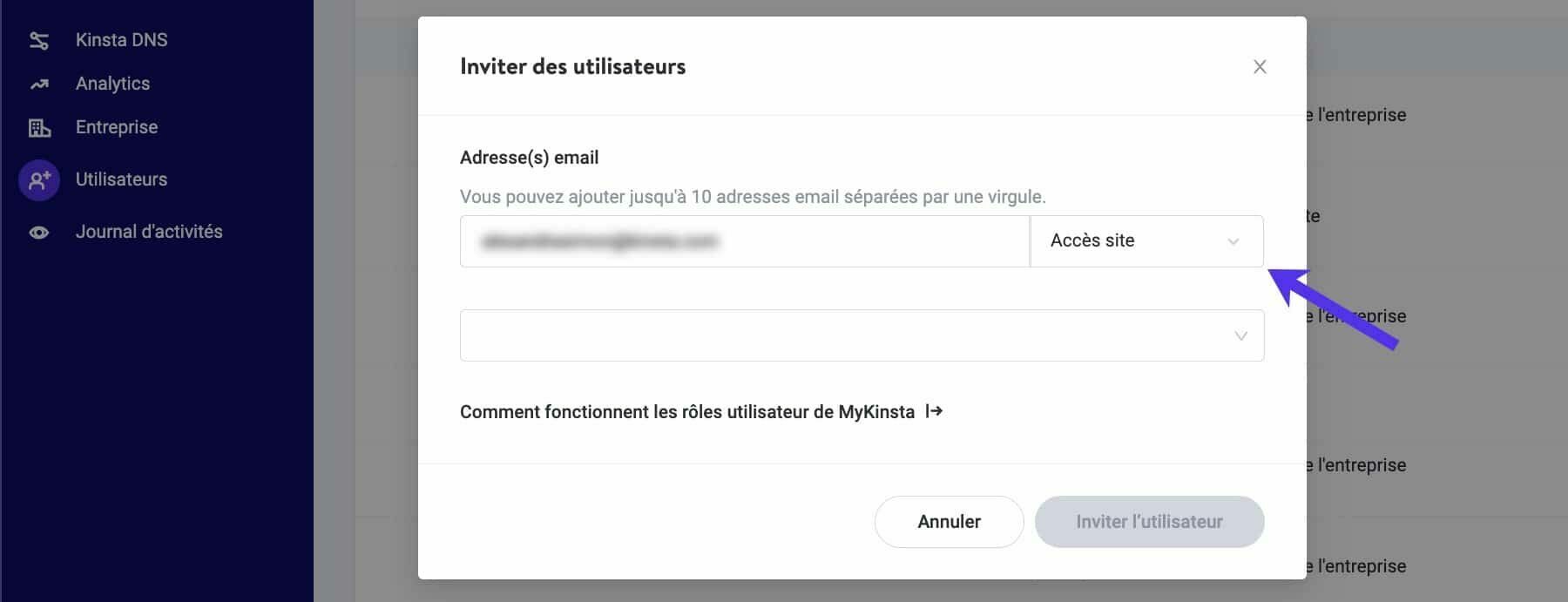 Choix du type de rôle lors de l’invitation d’un utilisateur sur MyKinsta