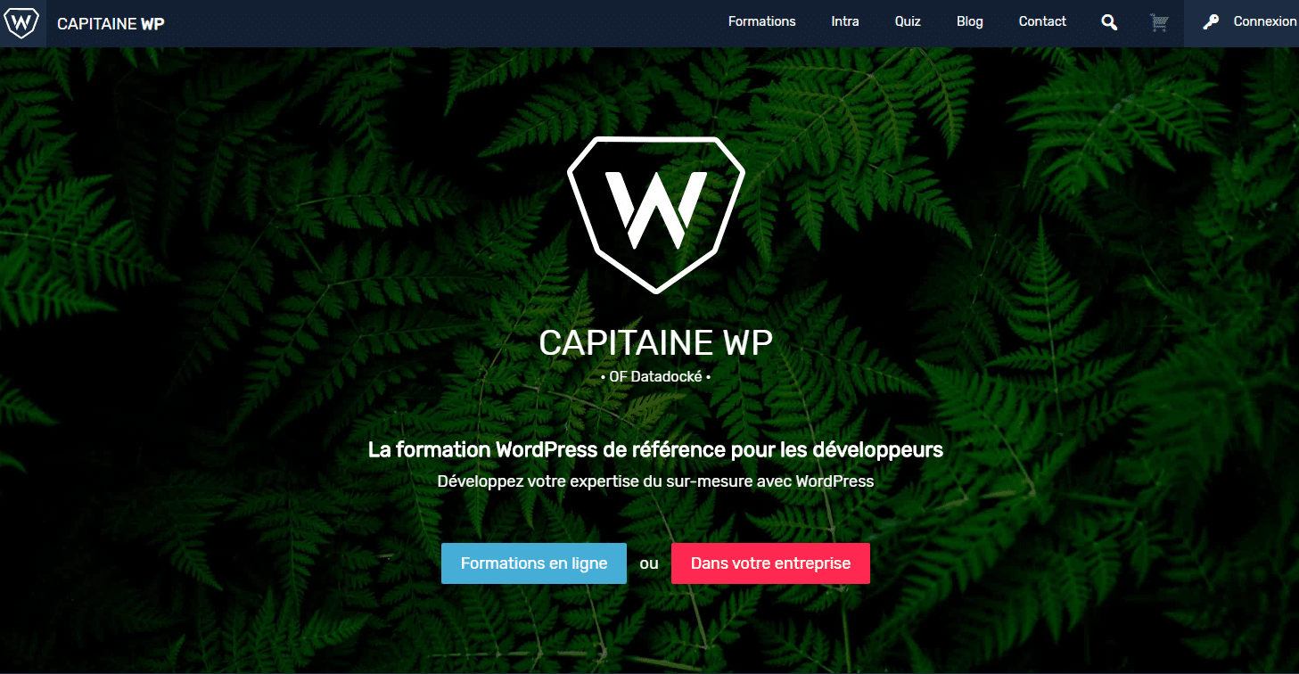 Capitaine WP