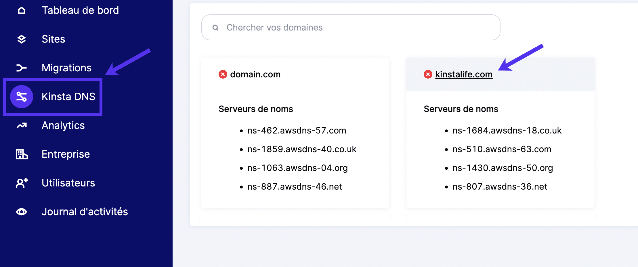 L’option Kinsta DNS du tableau de bord MyKinsta.