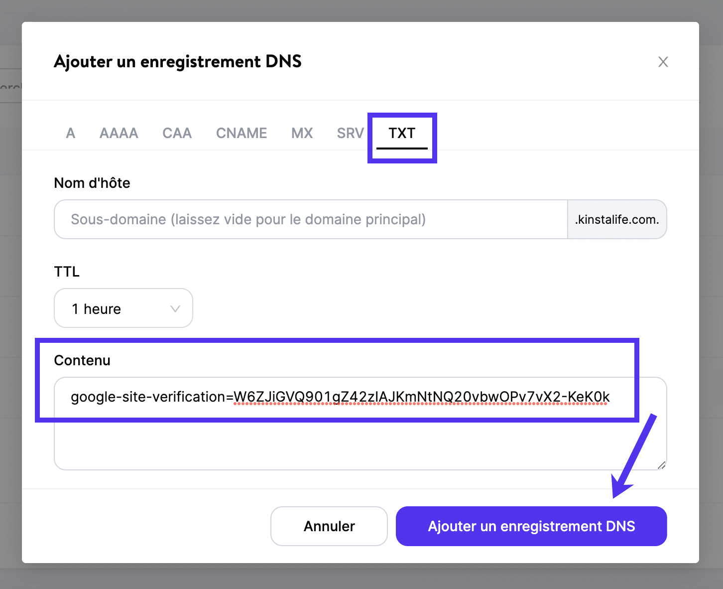 Ajouter un enregistrement TXT chez Kinsta.