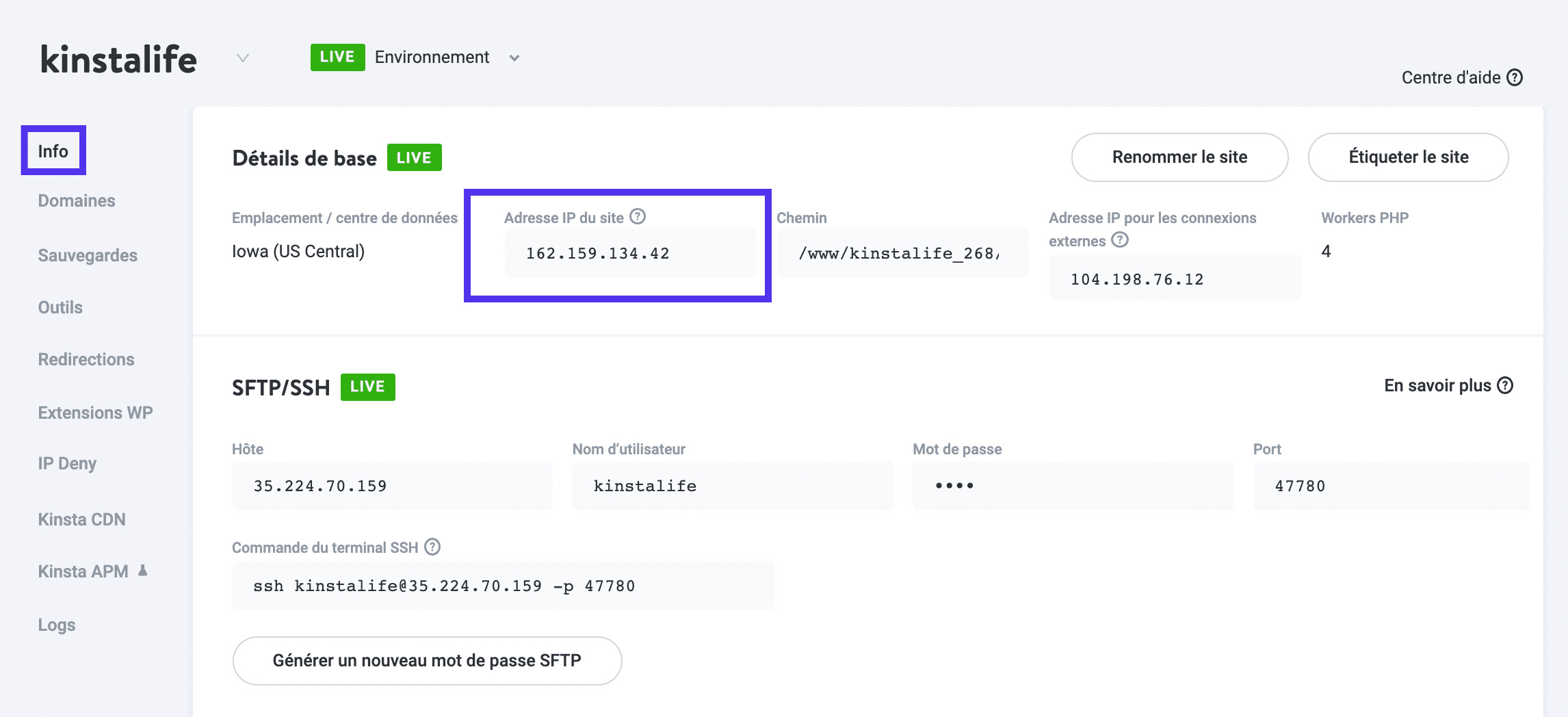 Où trouver l'adresse IP de votre serveur Kinsta