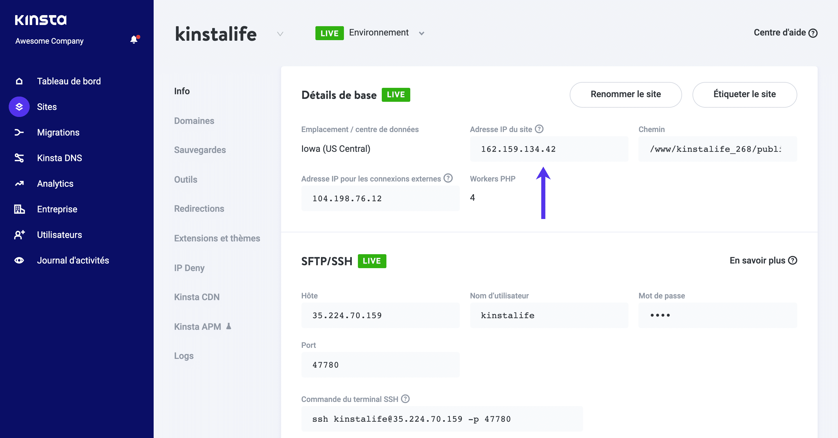 L’adresse IP se trouve dans l’onglet Info du site Web dans MyKinsta