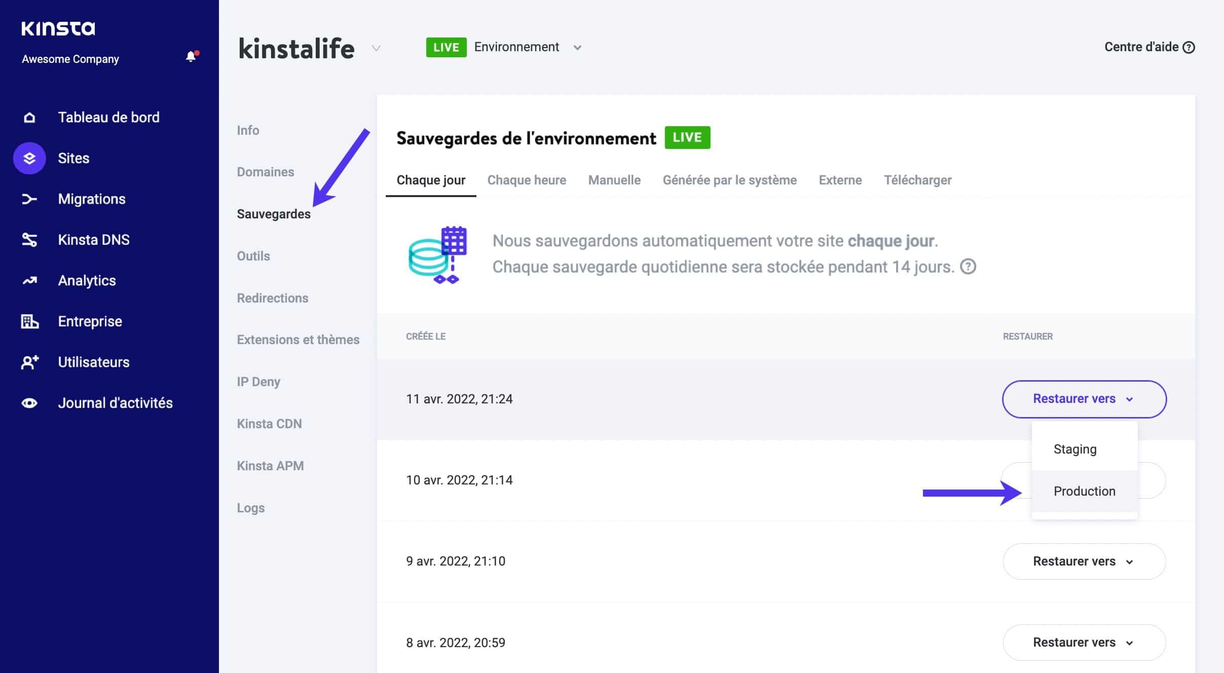 Restaurer WordPress à partir de la sauvegarde dans MyKinsta