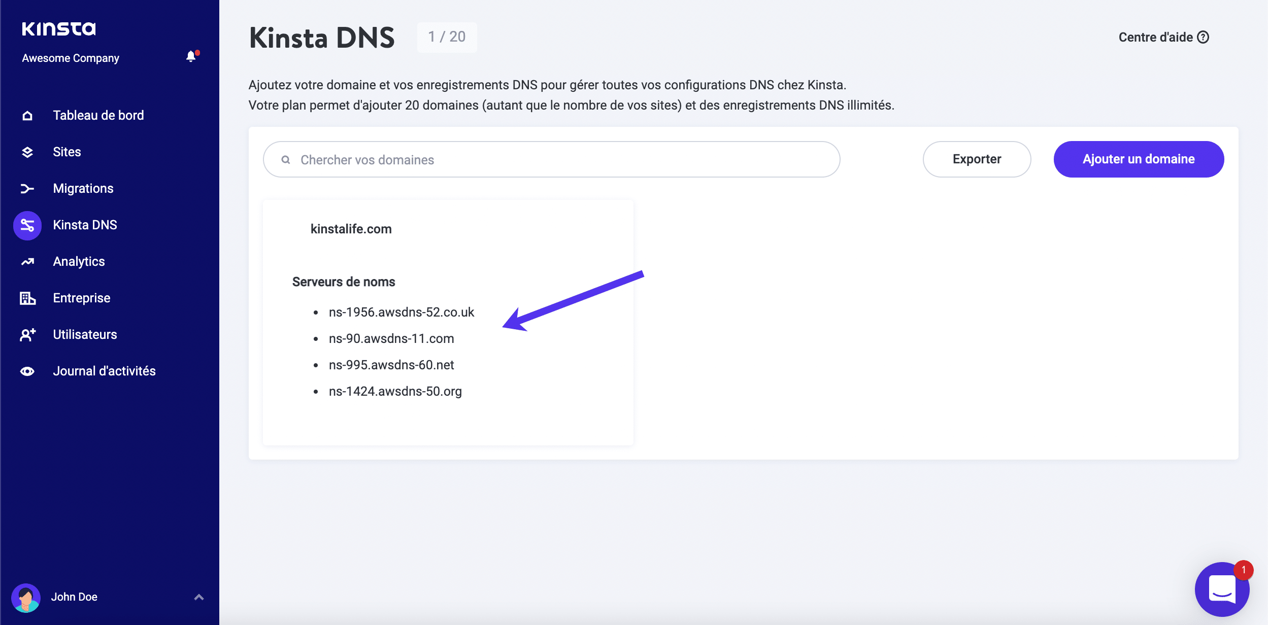 Voir Kinsta DNS – serveurs de noms