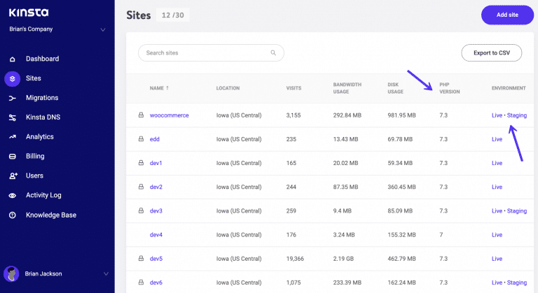 MyKinsta – PHP Versionen und Live/Staging