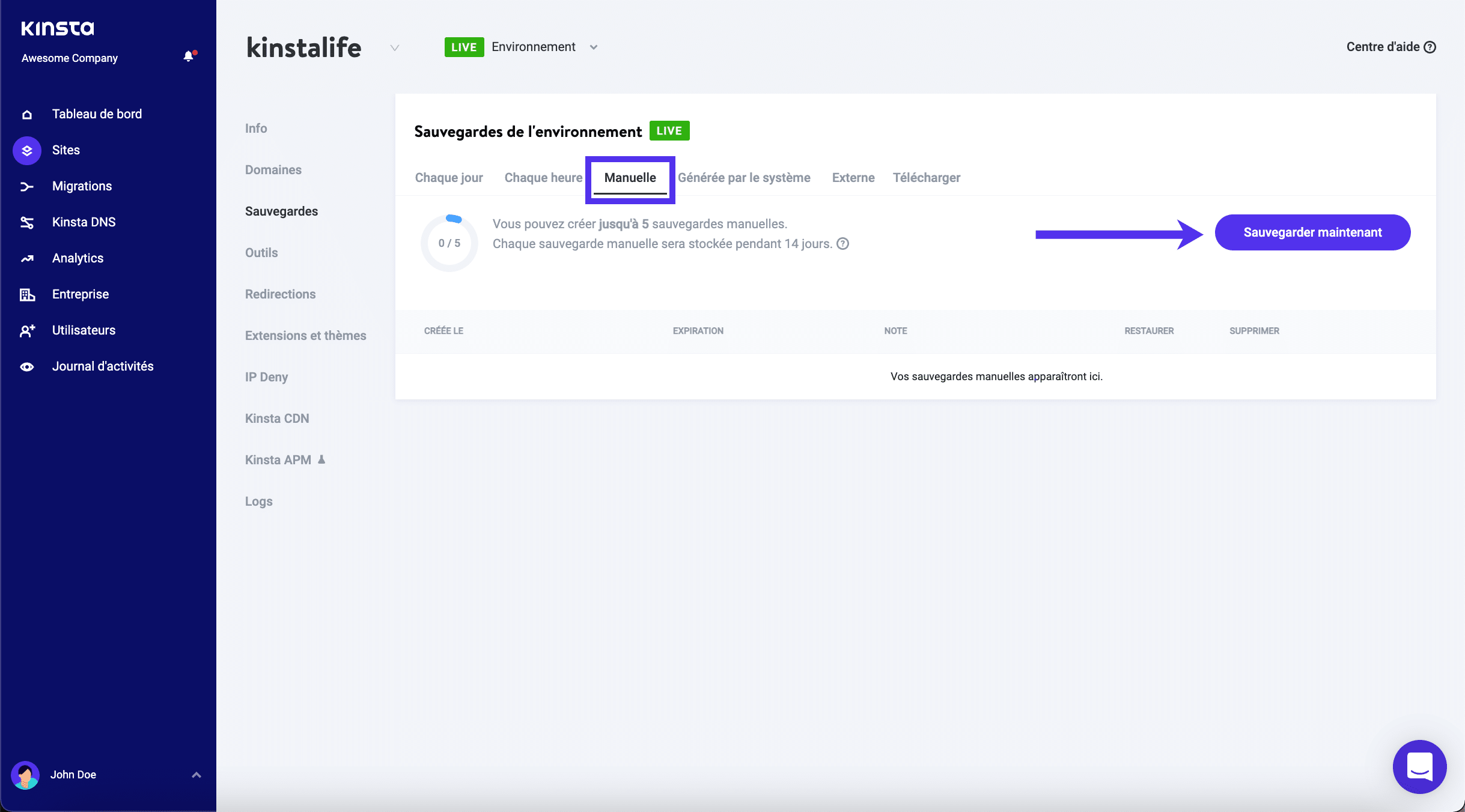 Sauvegardes manuelles Kinsta