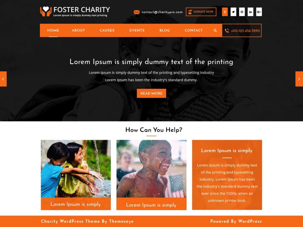 Thème Foster Charity