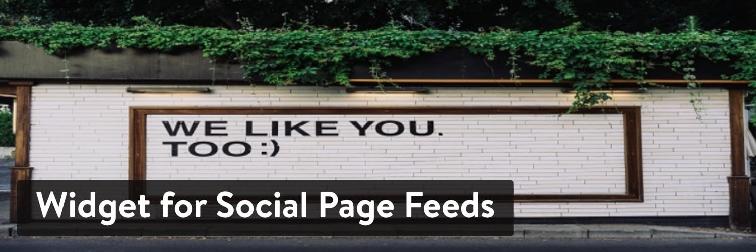 Extension WordPress Widget for Social Page Feeds