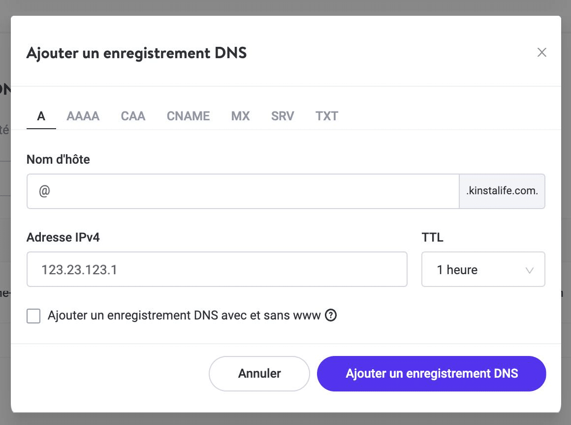 Exemple de DNS Kinsta