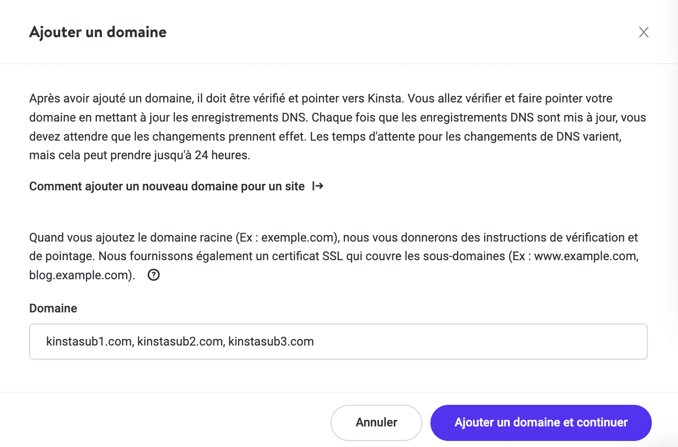 Ajouter des domaines de sous-site supplémentaires dans MyKinsta.