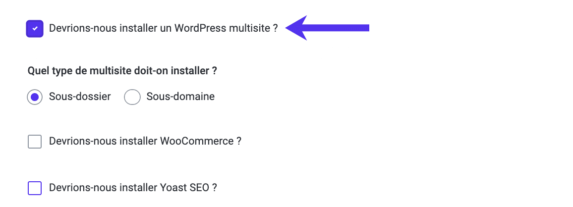 Créez un multisite dans MyKinsta.