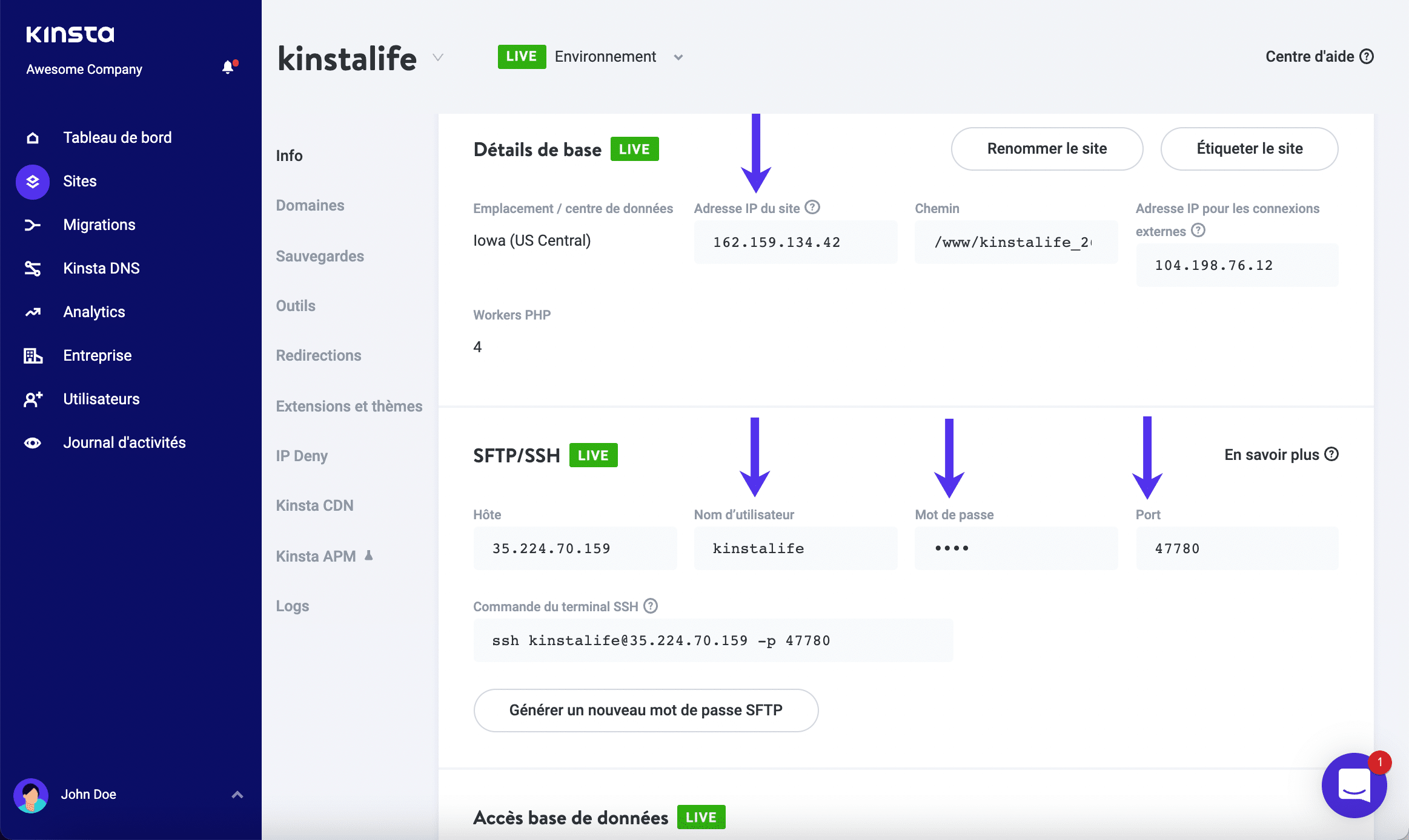 Obtenez les détails de votre SFPT dans MYKinsta