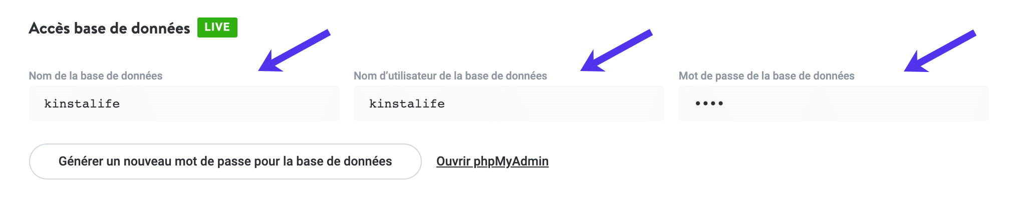 Accès à la base de données dans MyKinsta