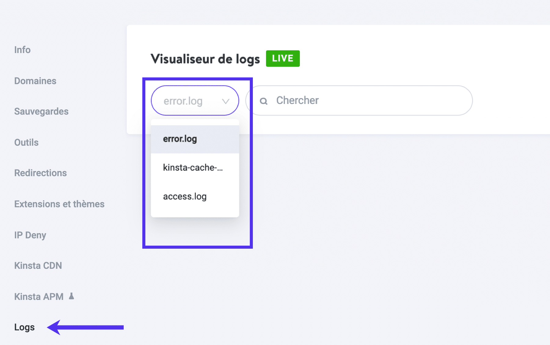 Visionneuse de logs dans MyKinsta