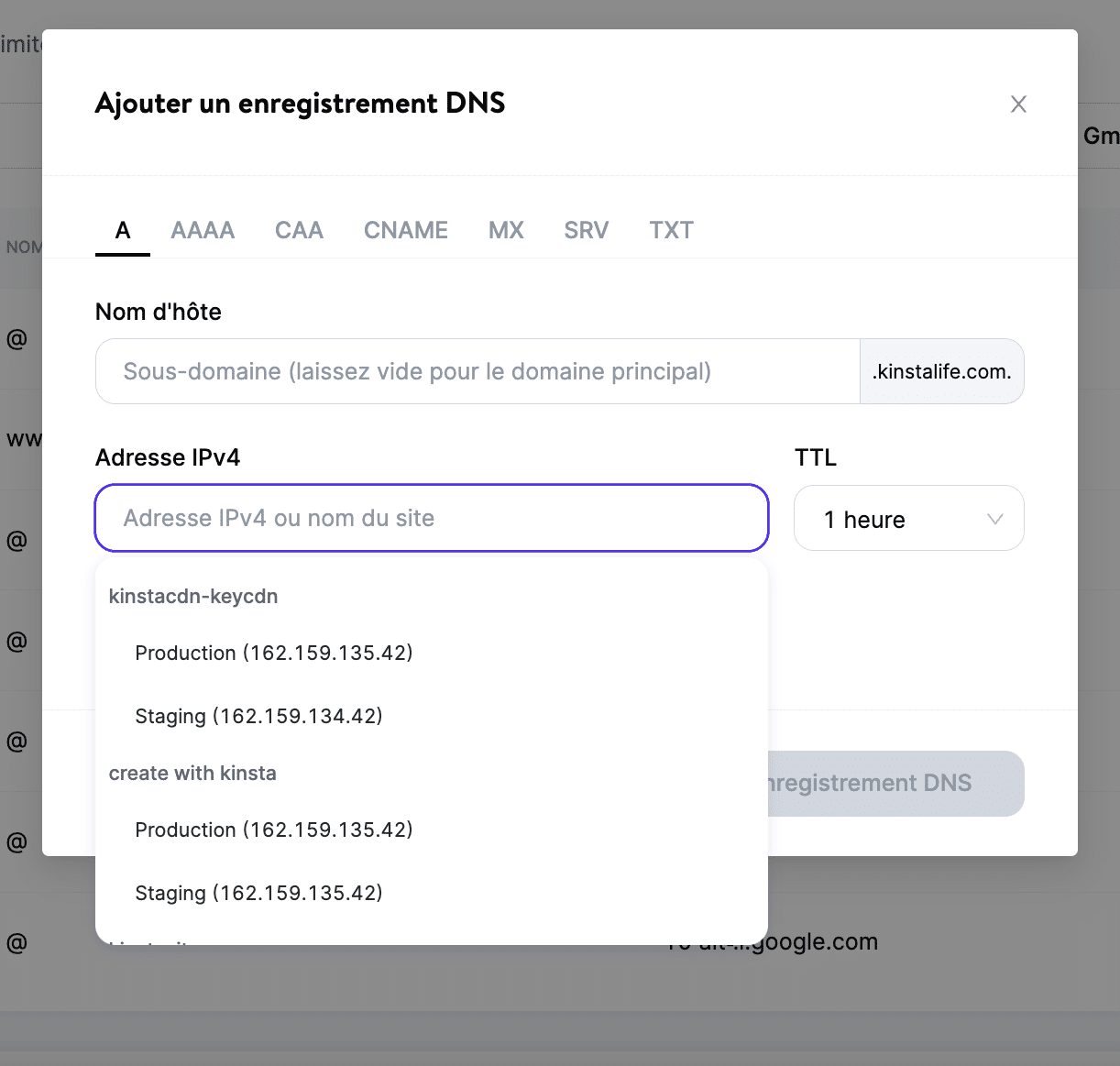 Recherchez l'adresse IP de votre site dans Kinsta DNS.